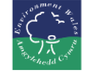 Environment Wales logo. Click to access their website.